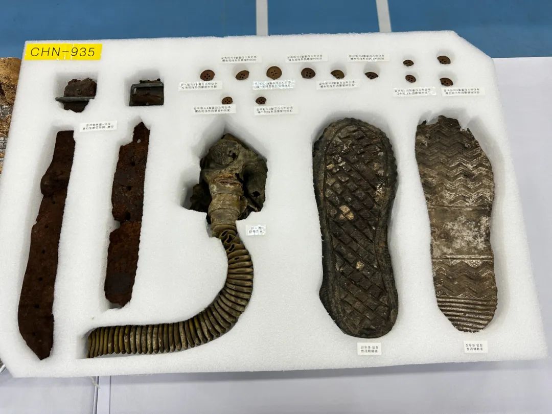 1700620263290118.jpg 640_wx_fmt=jpeg&from=appmsg&wxfrom=5&wx_lazy=1&wx_co=1 (6).jpg