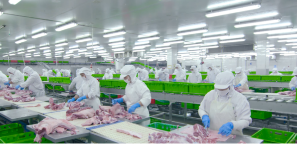11亿!这个年屠宰100万头生猪屠宰项目落地巴中_人民日报