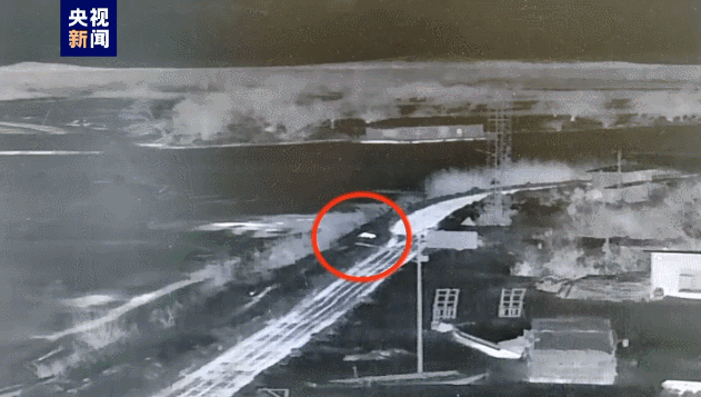 1700810901574150.gif 东北虎.gif