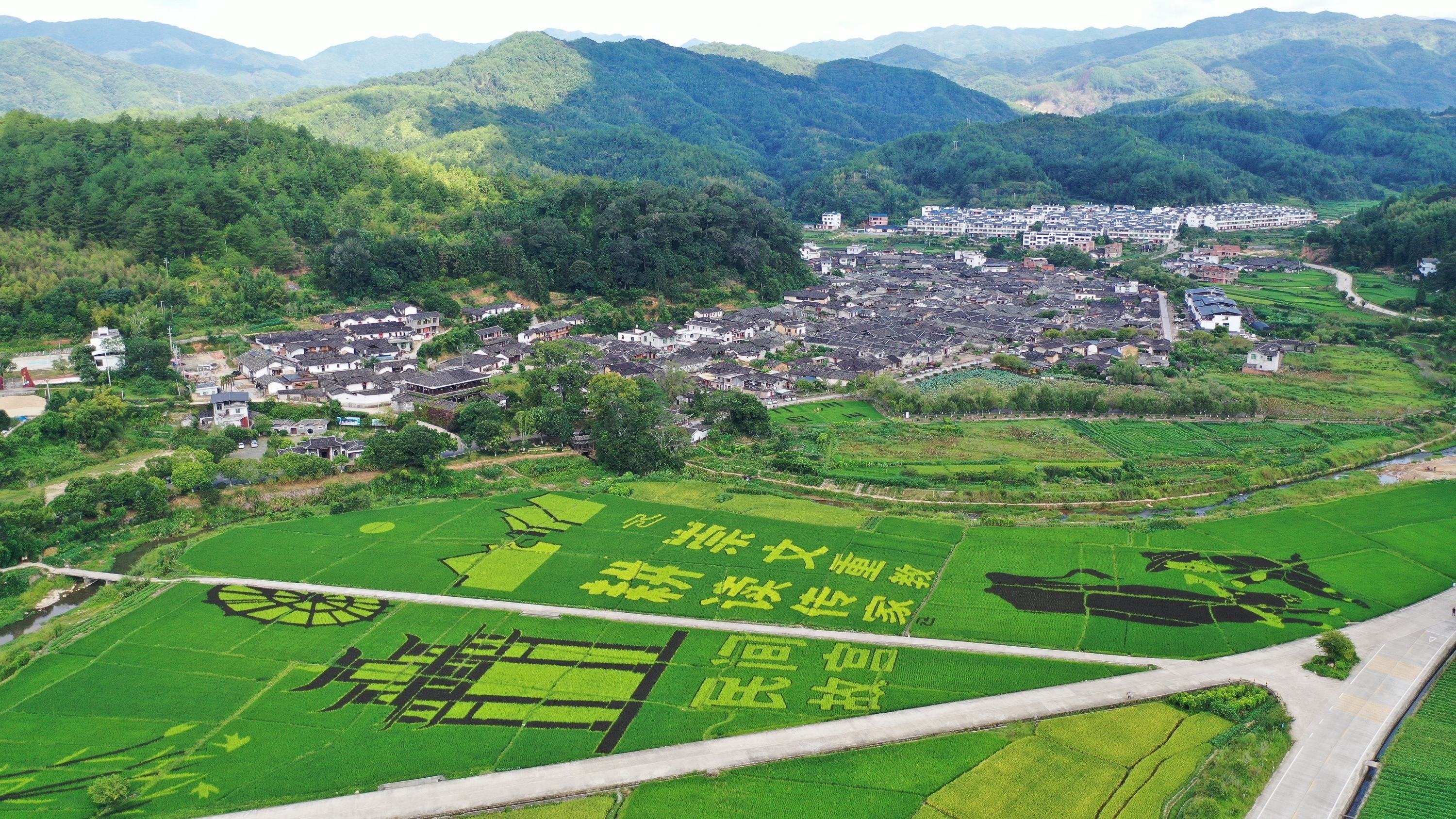 1700786625889127.jpg 9ad3bcef1ce4dd2214c88b9b312452f.jpg