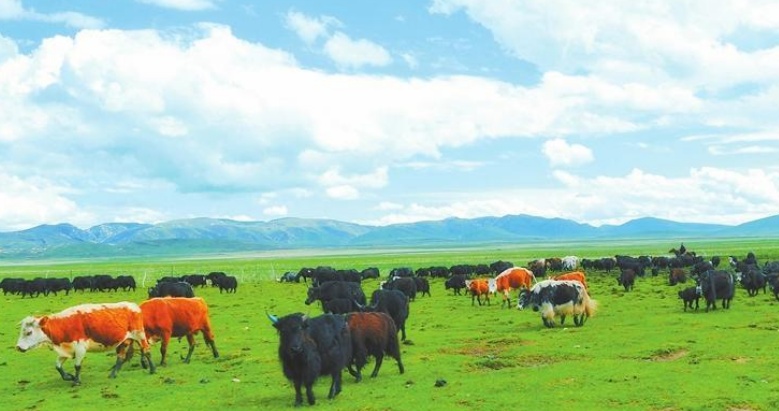 1700882012502700.png 图片.png