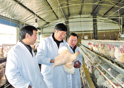 1701047901550900.jpg 1.jpg