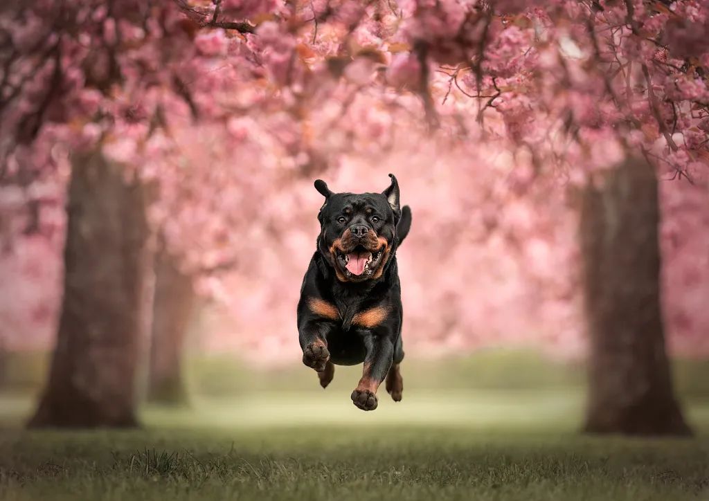 1701485632964890.jpg 640 (1).jpg