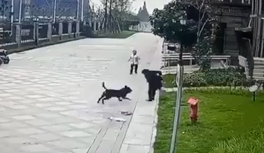 1701485644281859.png 640.png