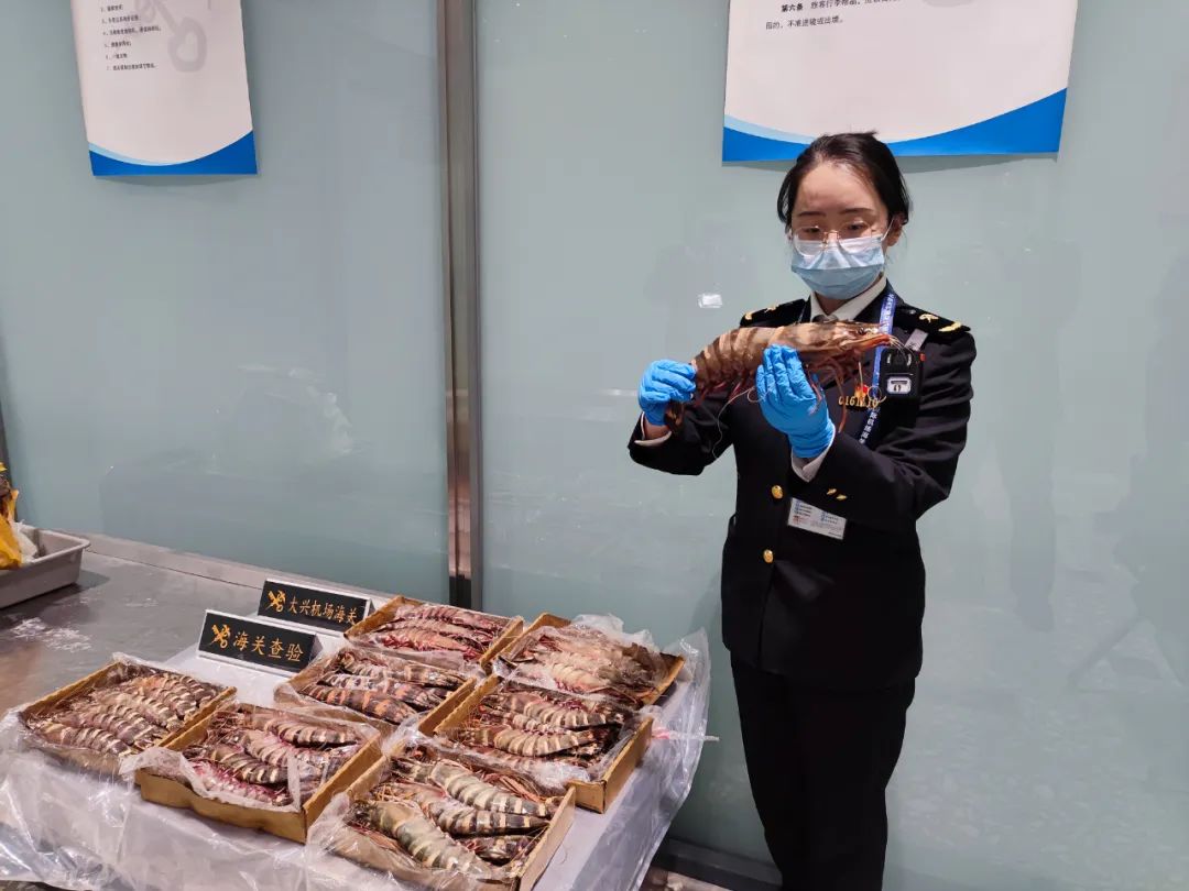 1701572745199062.jpg 640 (7).jpg