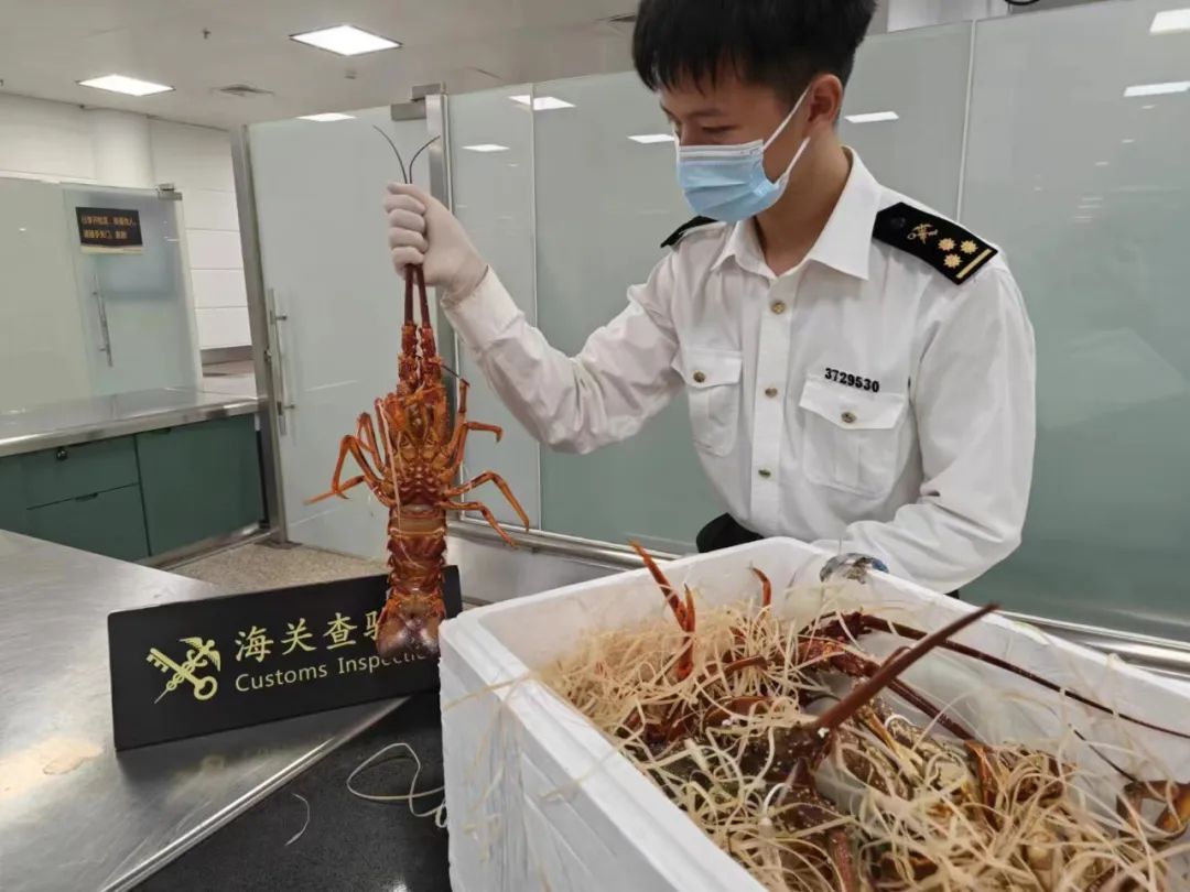 1701572803371013.jpg 640 (6).jpg