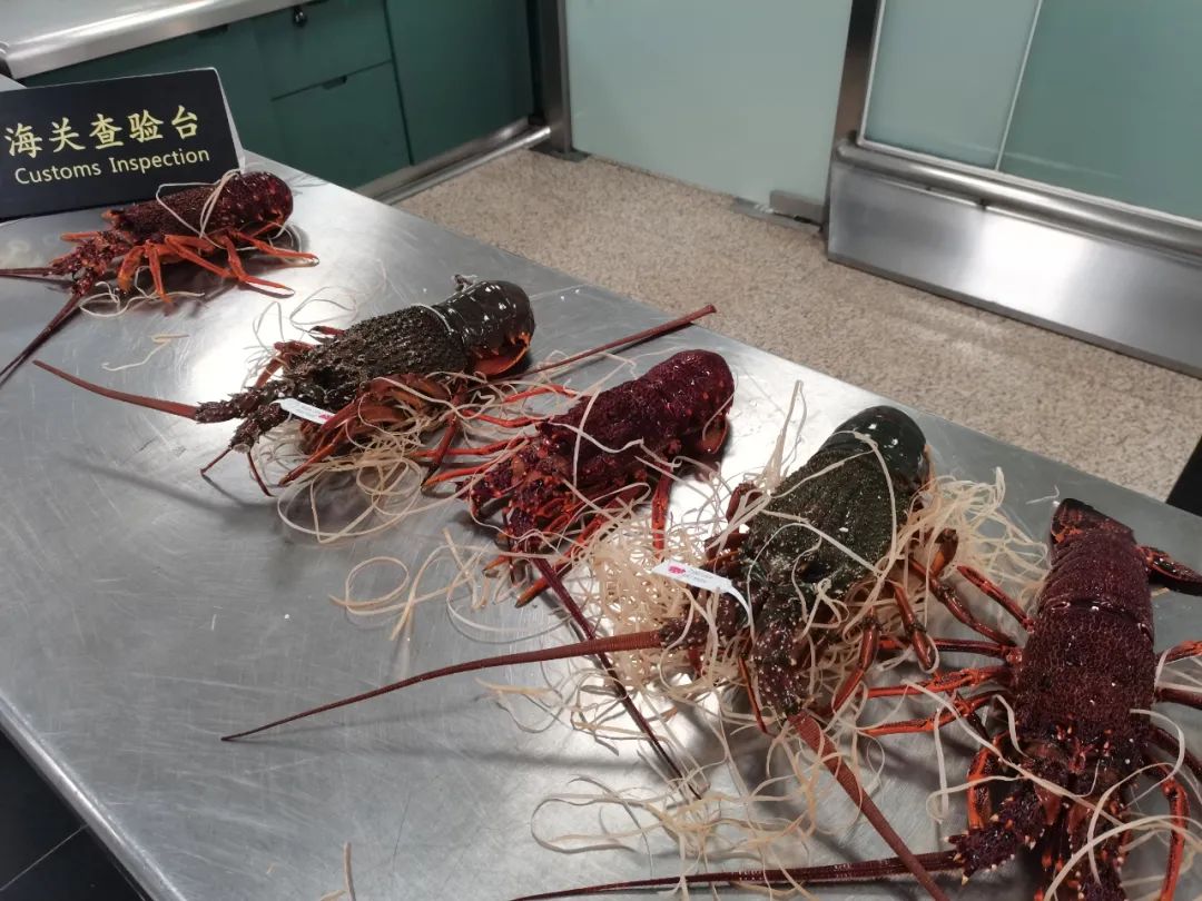 1701572807784149.jpg 640 (5).jpg