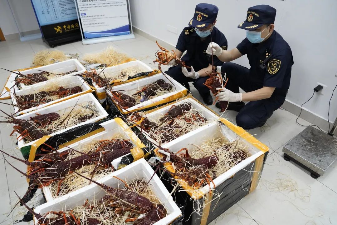 1701572816351338.jpg 640 (4).jpg