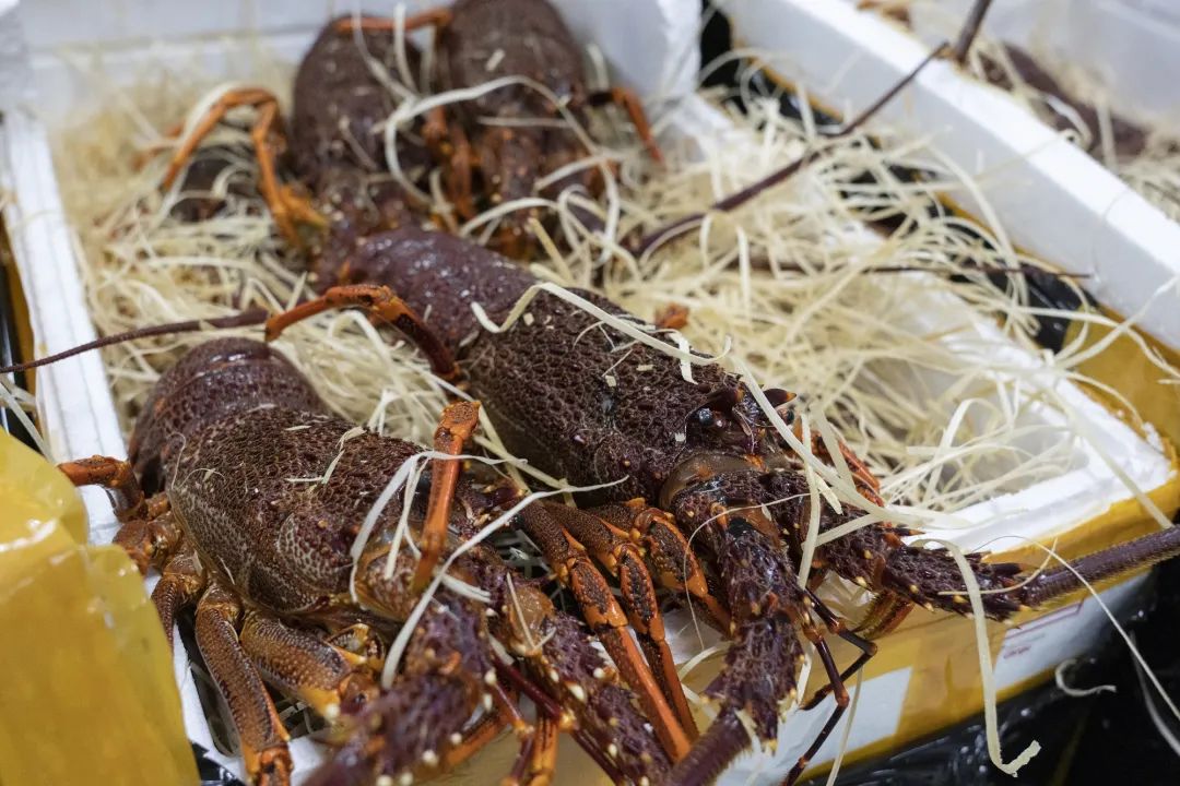 1701572825463497.jpg 640 (3).jpg