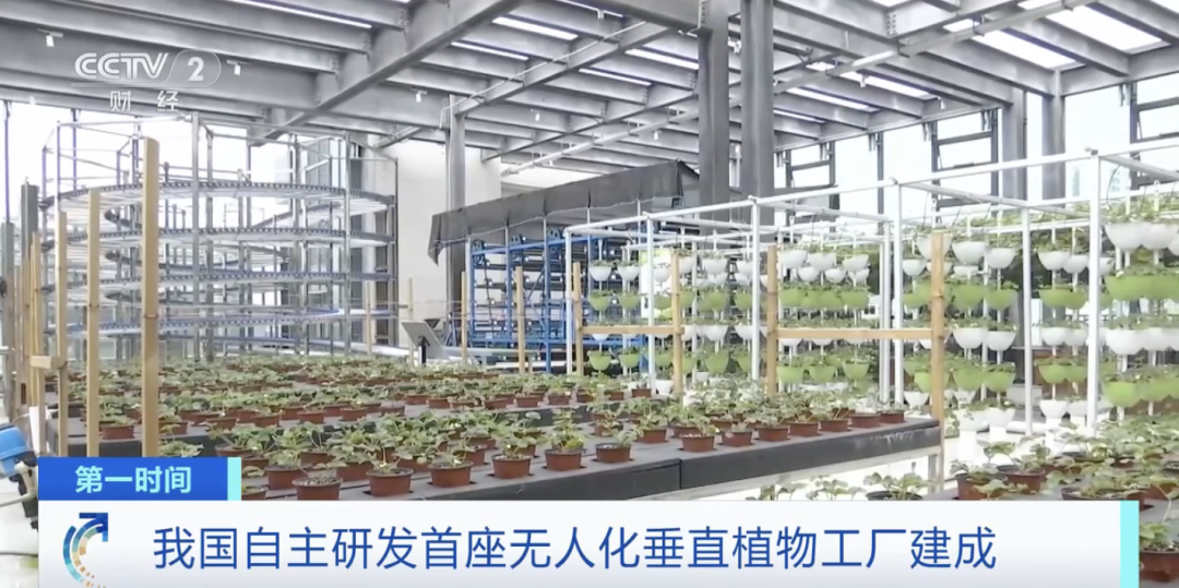 世界首例！垂直我国自主研发无人化垂直植物工厂