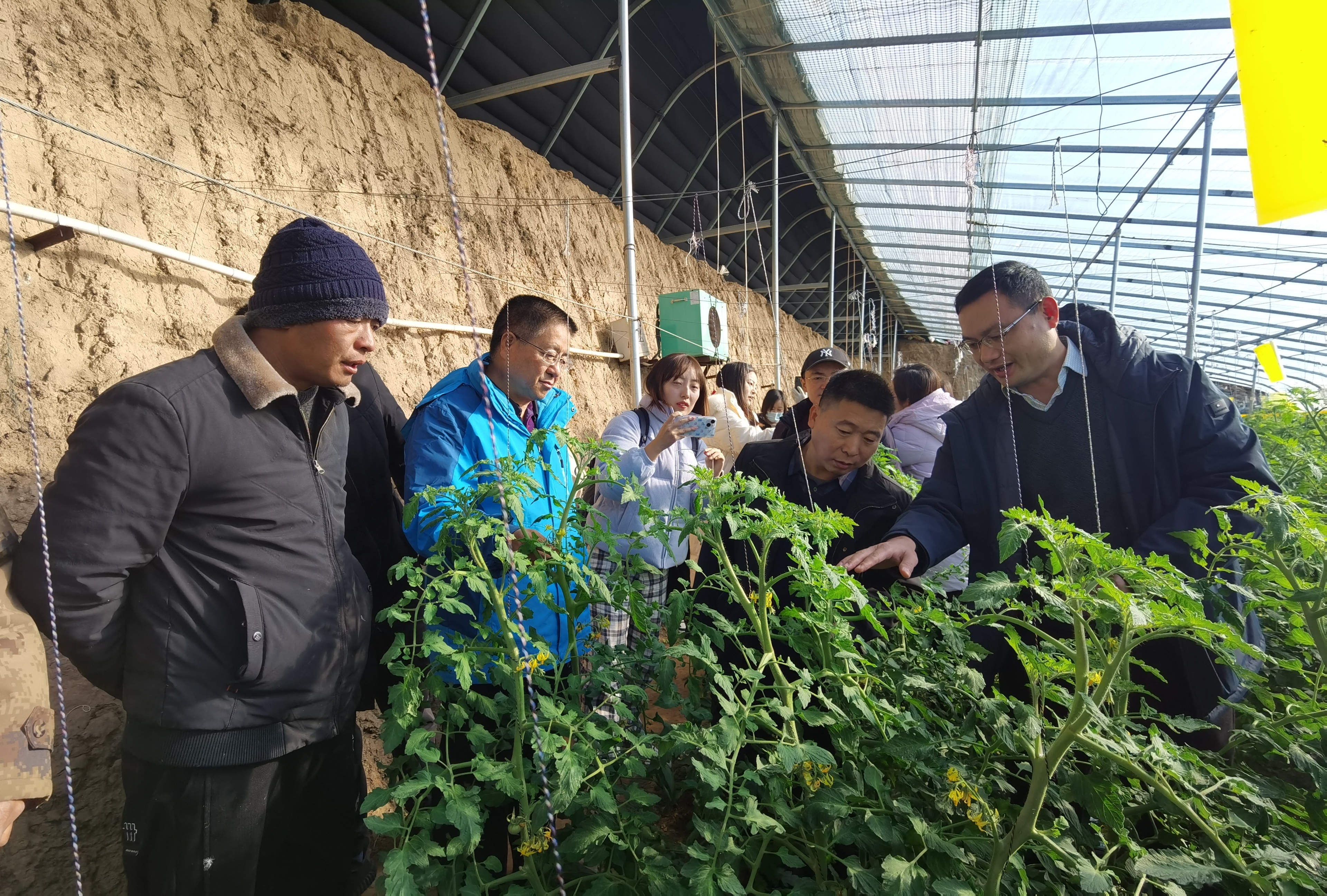 中国农大专家与百姓面对面交流指导西红柿冬季管理技术。刘柯旋摄.jpg