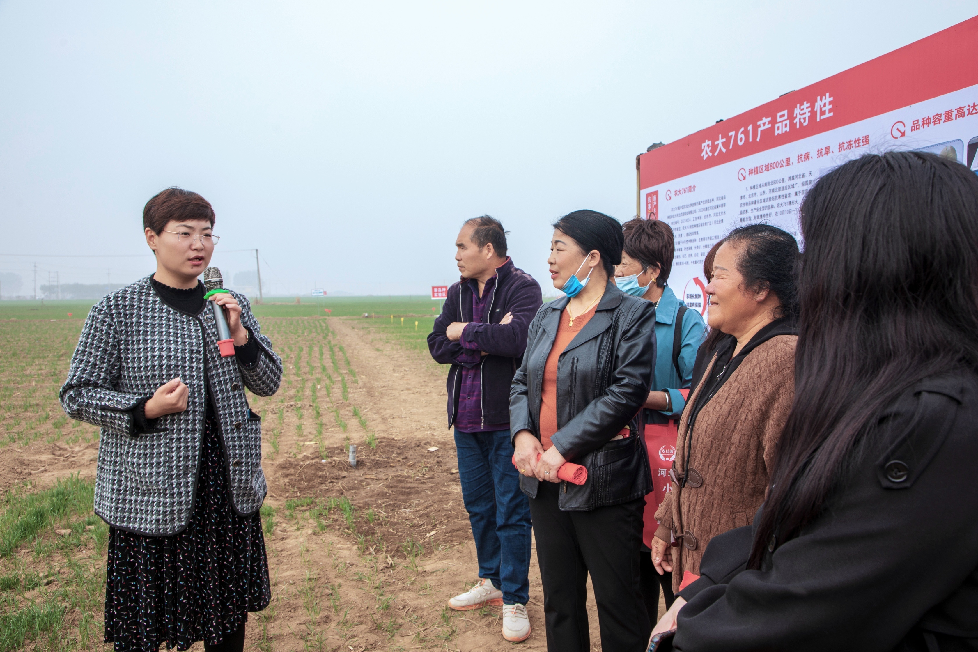 乡村“田秀才”成为科技兴农带头人。刘柯旋摄.jpg