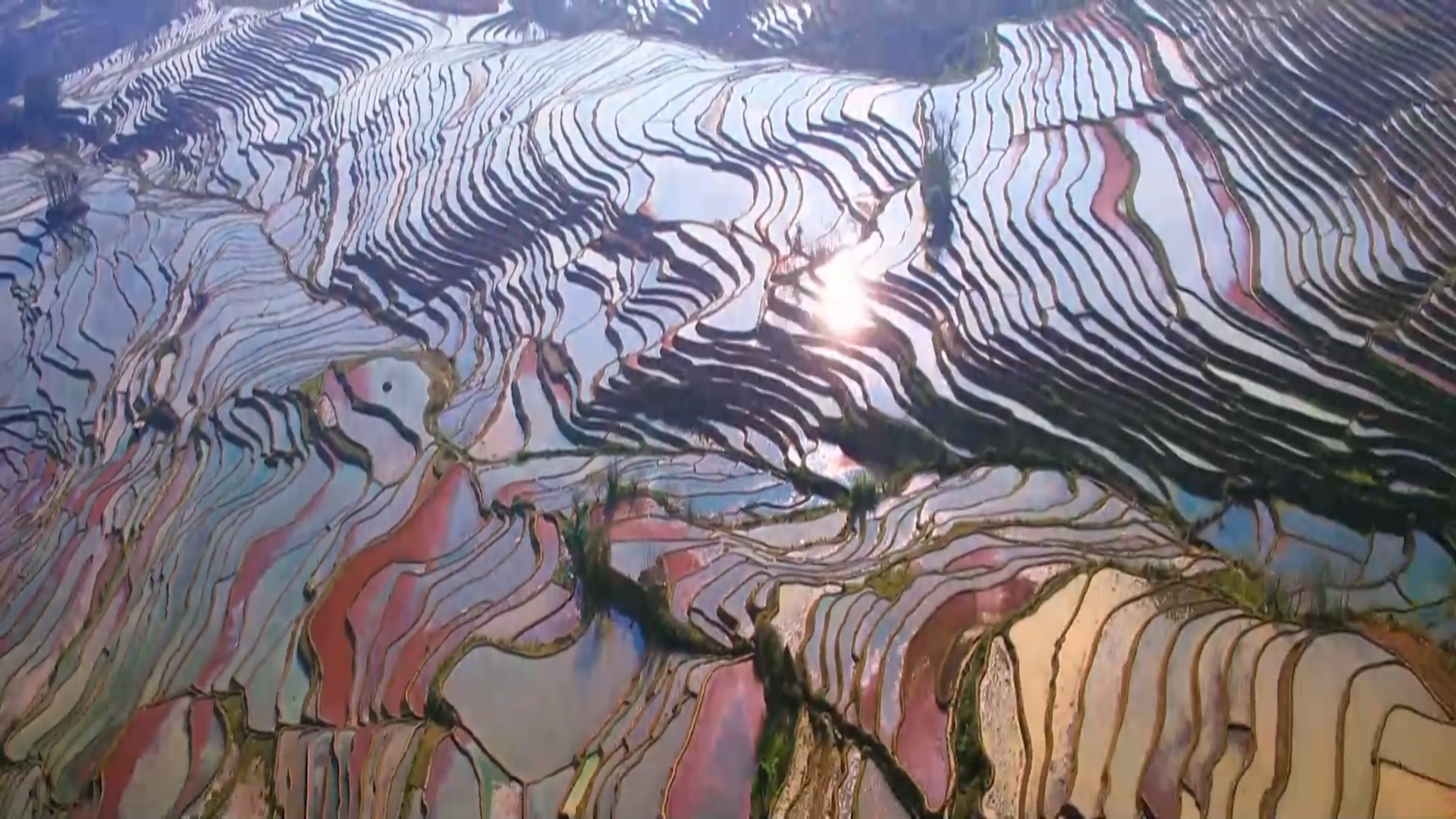 1702216355749182.png 图片1.png