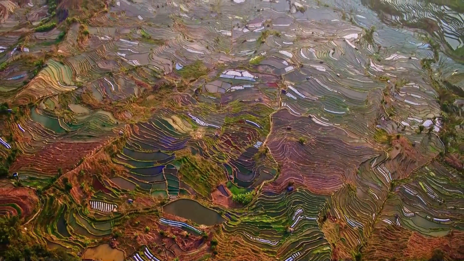 1702216369491063.png 图片2.png