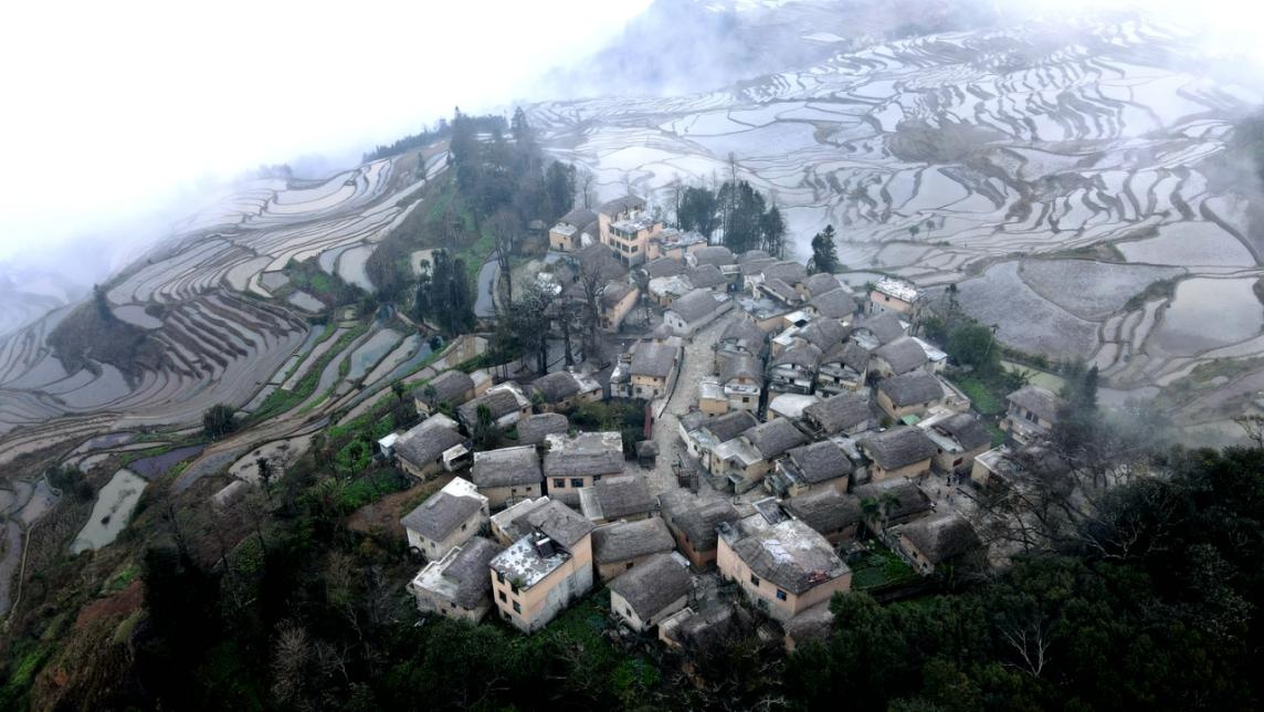 1702216642819749.png 图片7.png