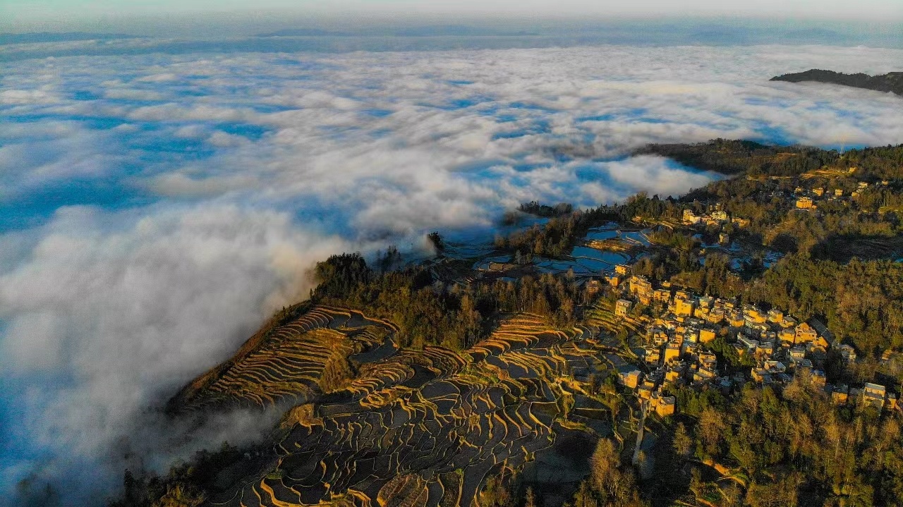 1702216656599641.png 图片8.png