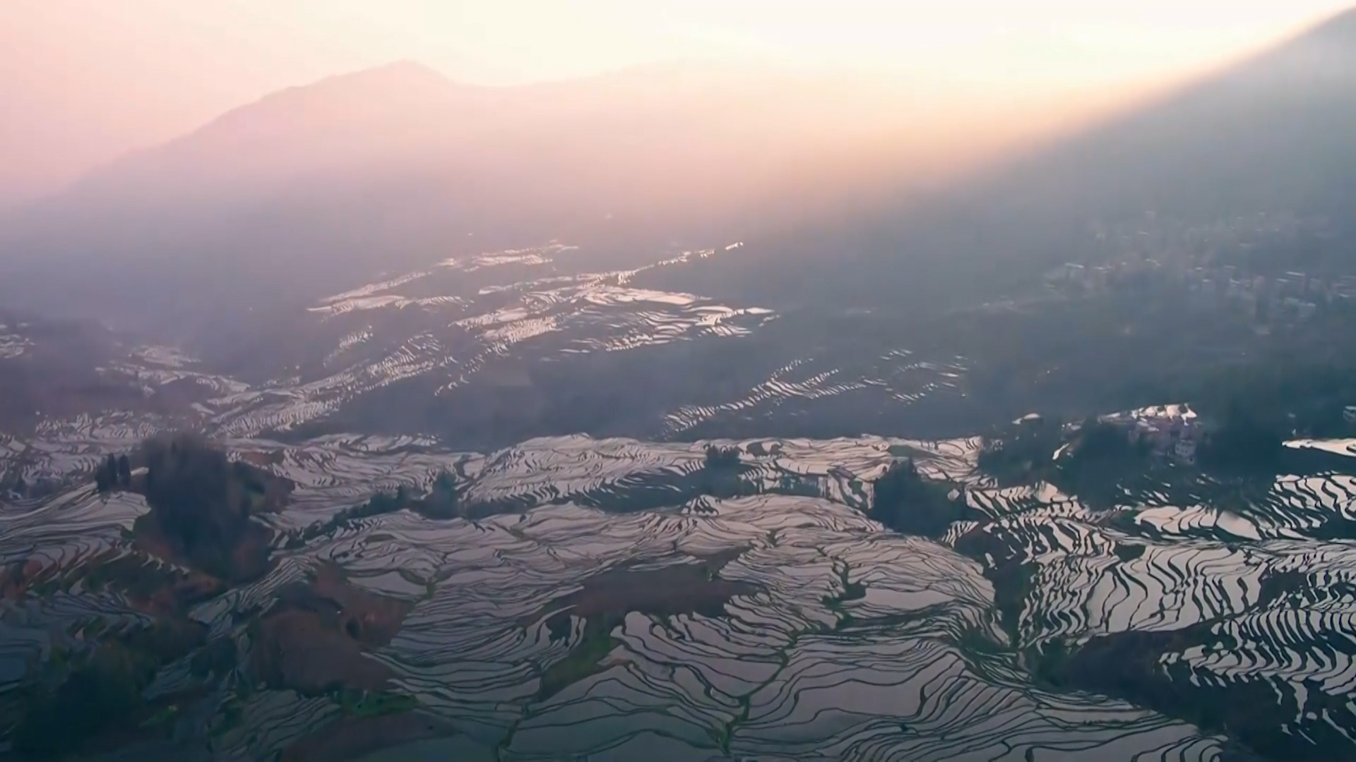 1702216685725635.png 图片9.png