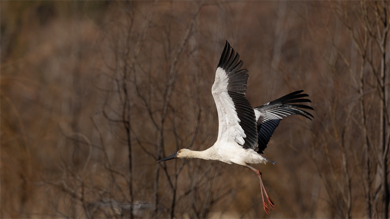 1702559127174429.jpg 微信图片_20231214204333.jpg