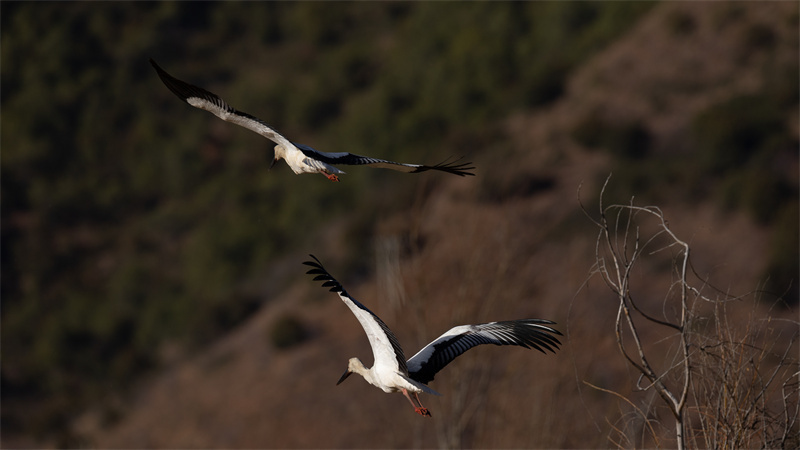 1702559297756134.jpg 微信图片_20231214204338.jpg