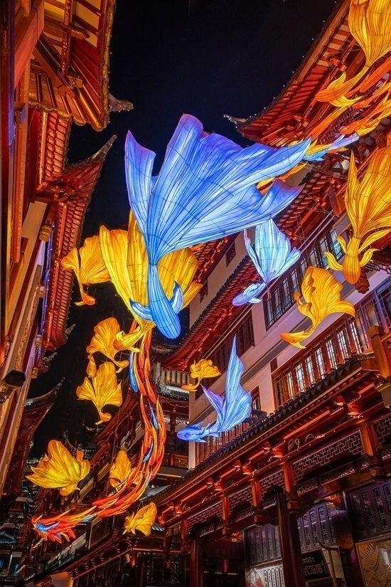 1702652449207885.jpg 123.jpg