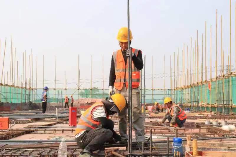 1703482541817637.jpg 494880765.jpg