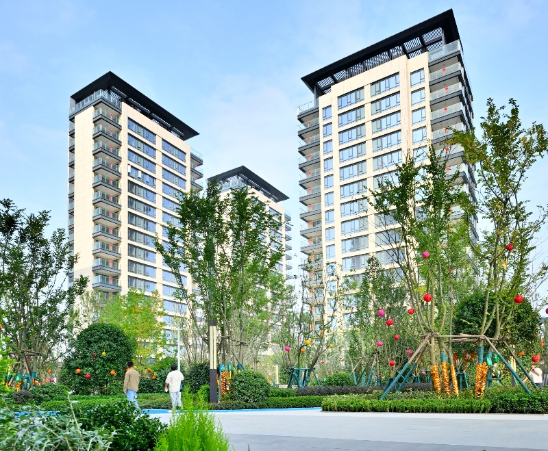 1703767924186357.jpg 55.jpg