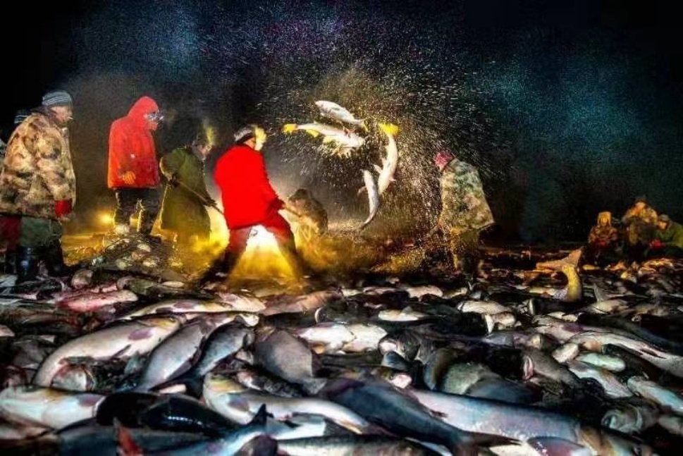 1704072718254058.jpg 1704072715251.jpg