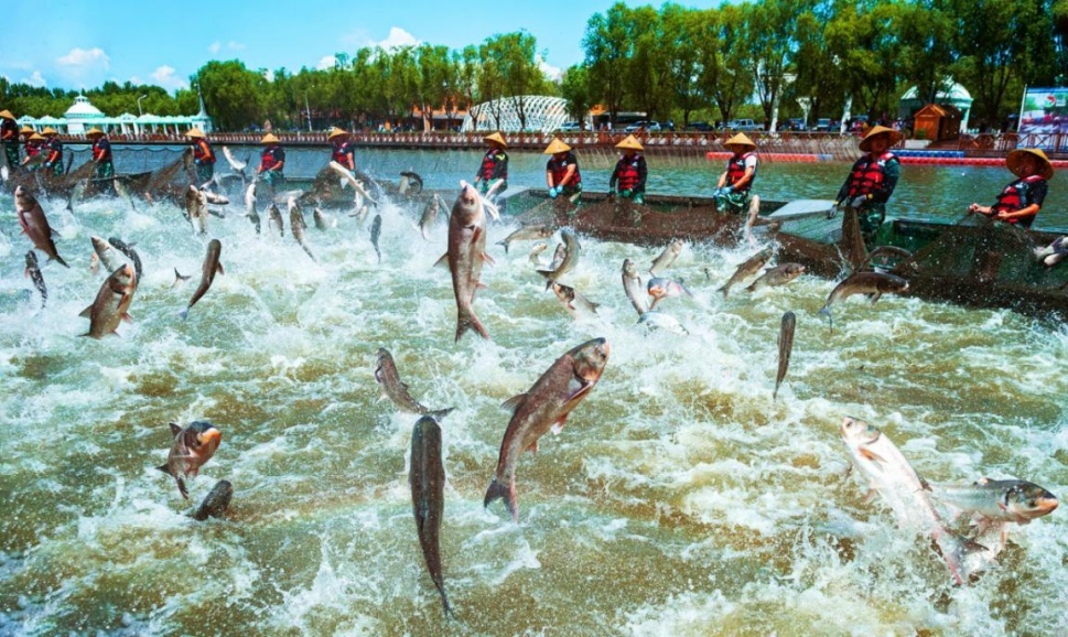 1704072882422373.jpg 1704072879939.jpg