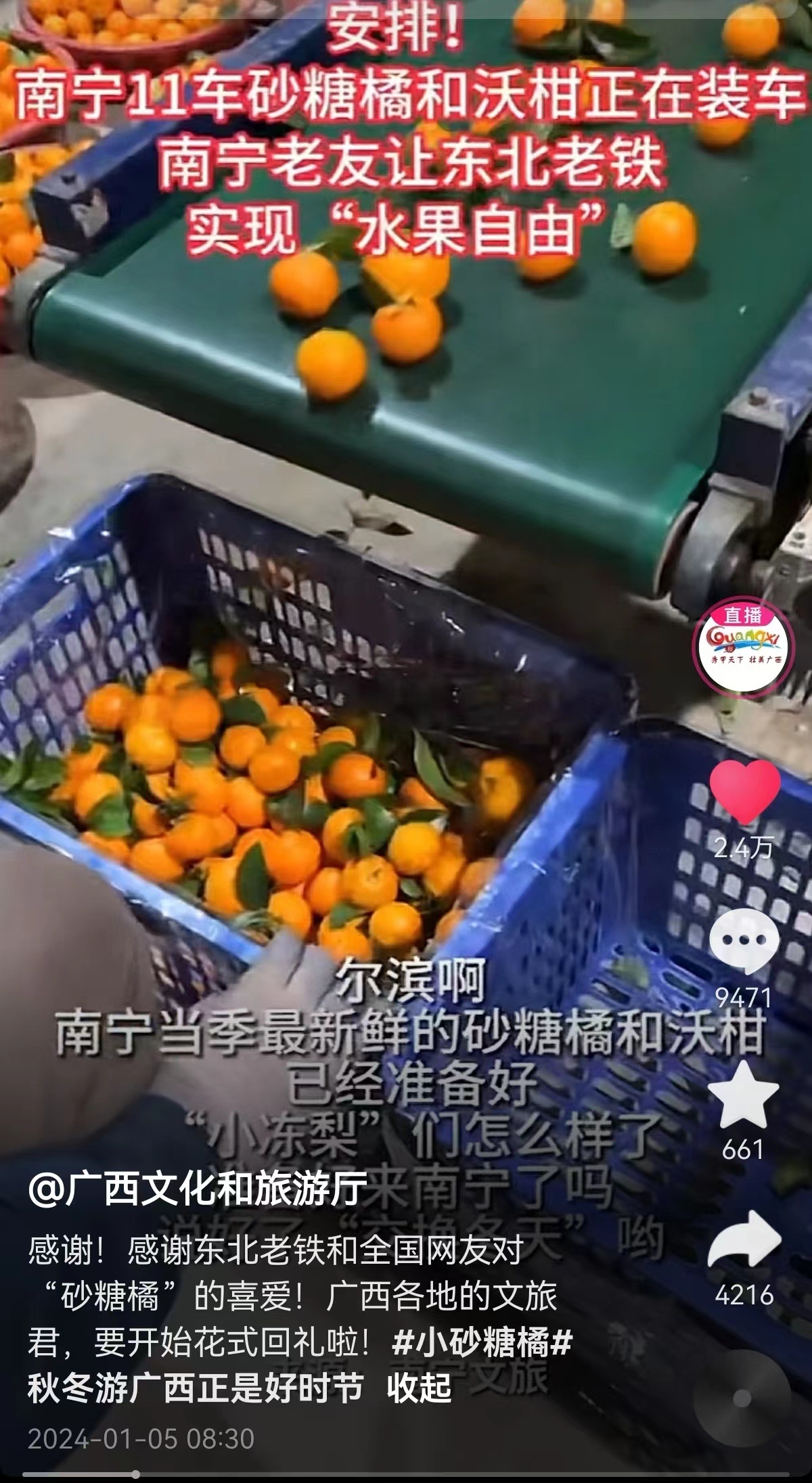 1704441687764120.jpg 582973b9171a9616b16fa20453a9446.jpg