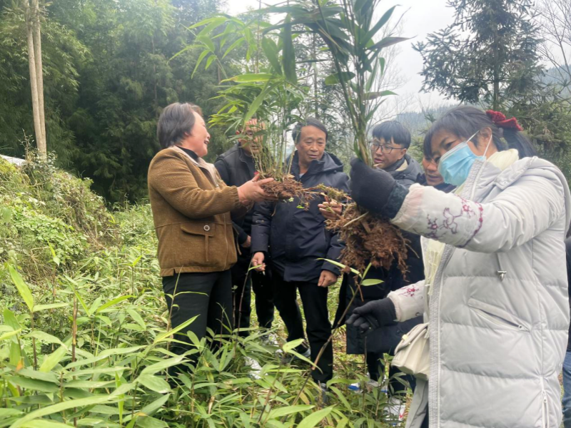 1704880906615952.png 微信图片_20240110180037.png