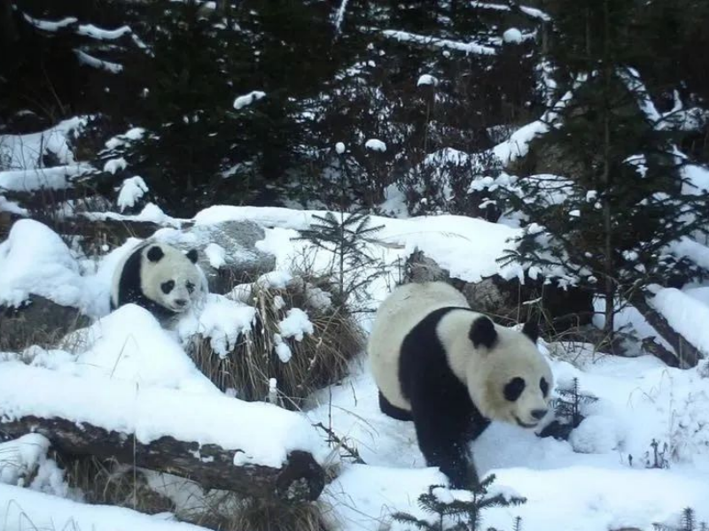 1705374252240043.png 22.png