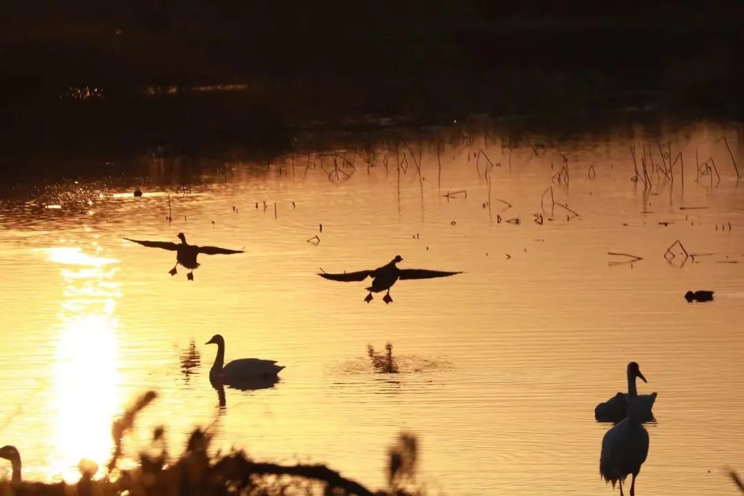 1705648781273527.jpeg 高铁1.jpeg