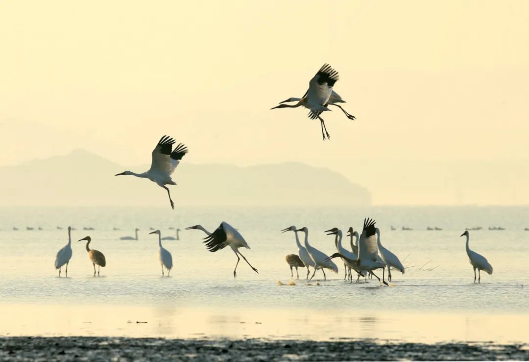 1705648788878513.jpeg 高铁2.jpeg