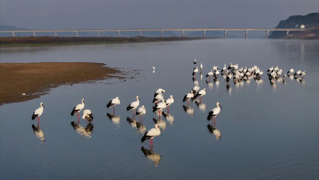 1705648800632373.jpeg 高铁3.jpeg