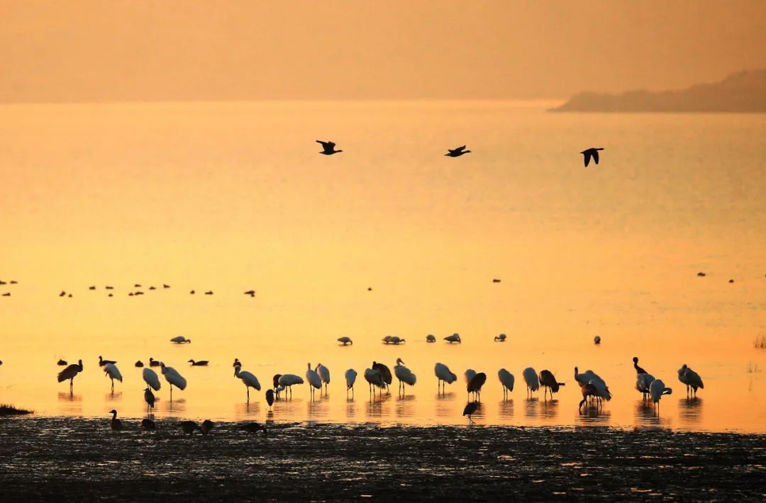 1705648808281134.jpeg 高铁4.jpeg