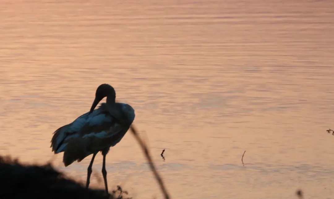 1705648822721941.png 高铁5.png