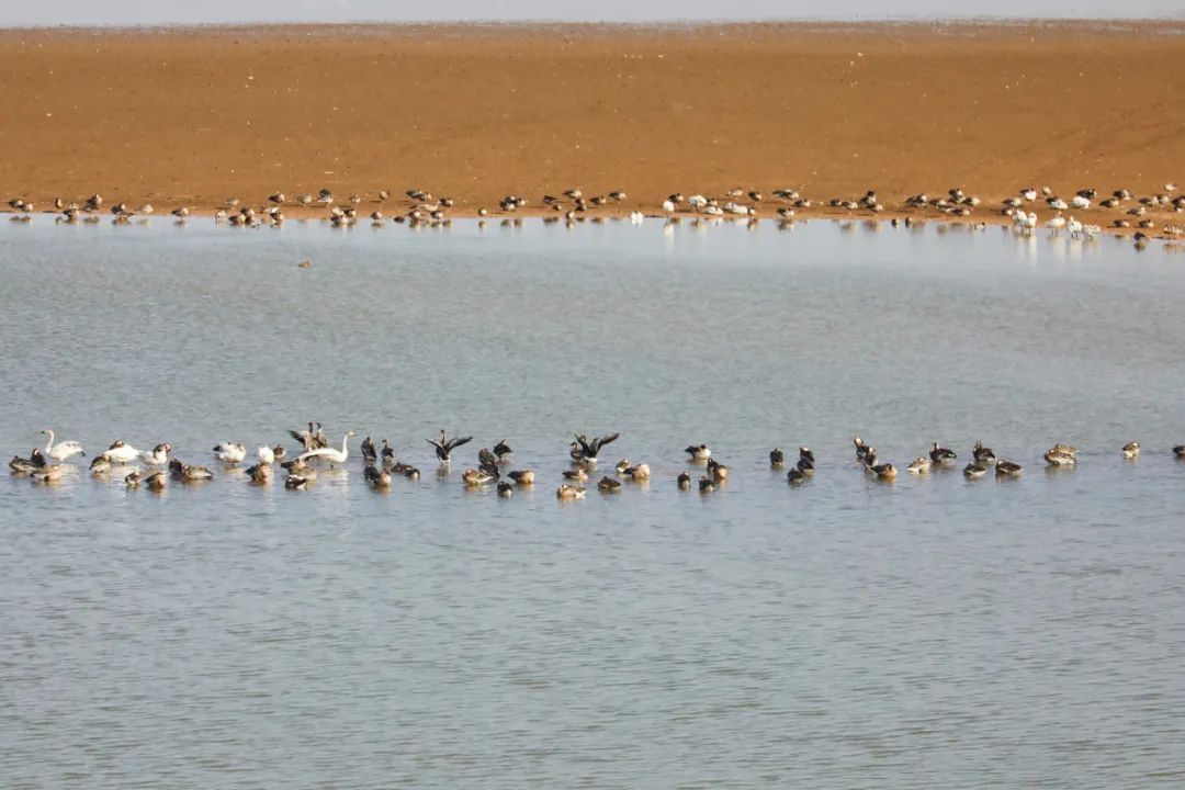 1705648868409592.jpeg 高铁9.jpeg