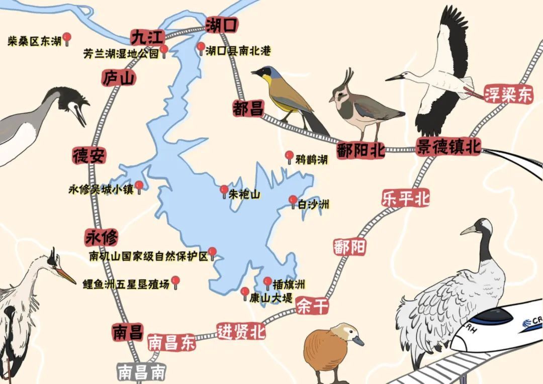 1705648919860091.jpeg 高铁12.jpeg