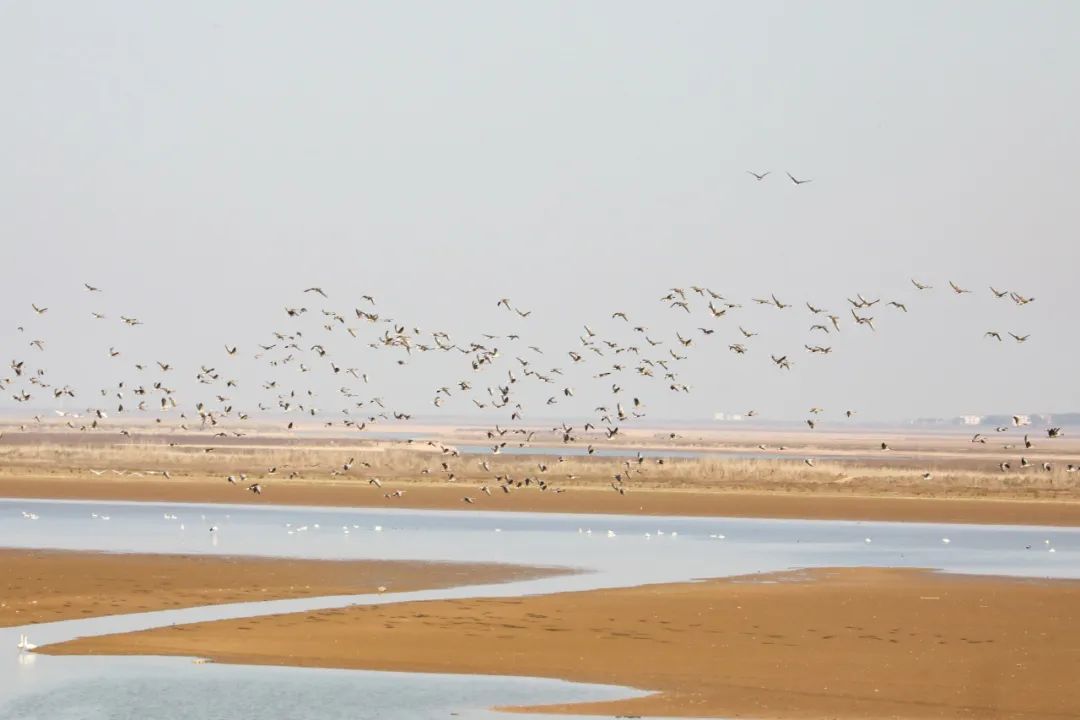 1705648938891347.jpeg 高铁13.jpeg