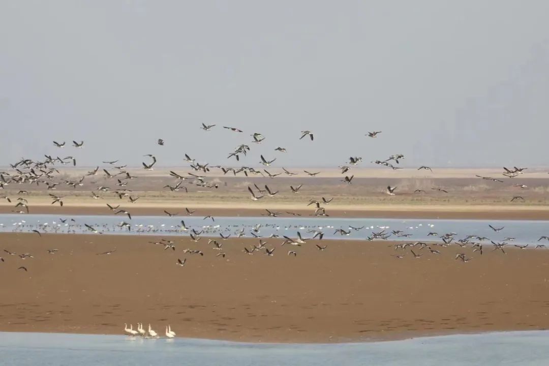 1705649011605264.jpeg 高铁19.jpeg