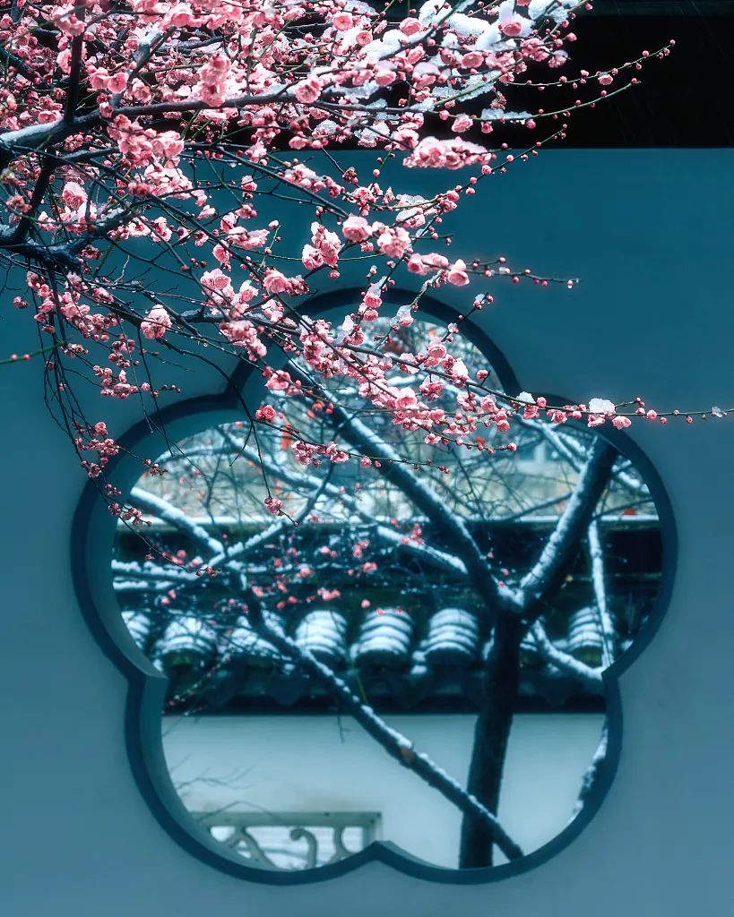 640_wx_fmt=jpeg&from=appmsg&wxfrom=5&wx_lazy=1&wx_co=1 (13).jpg