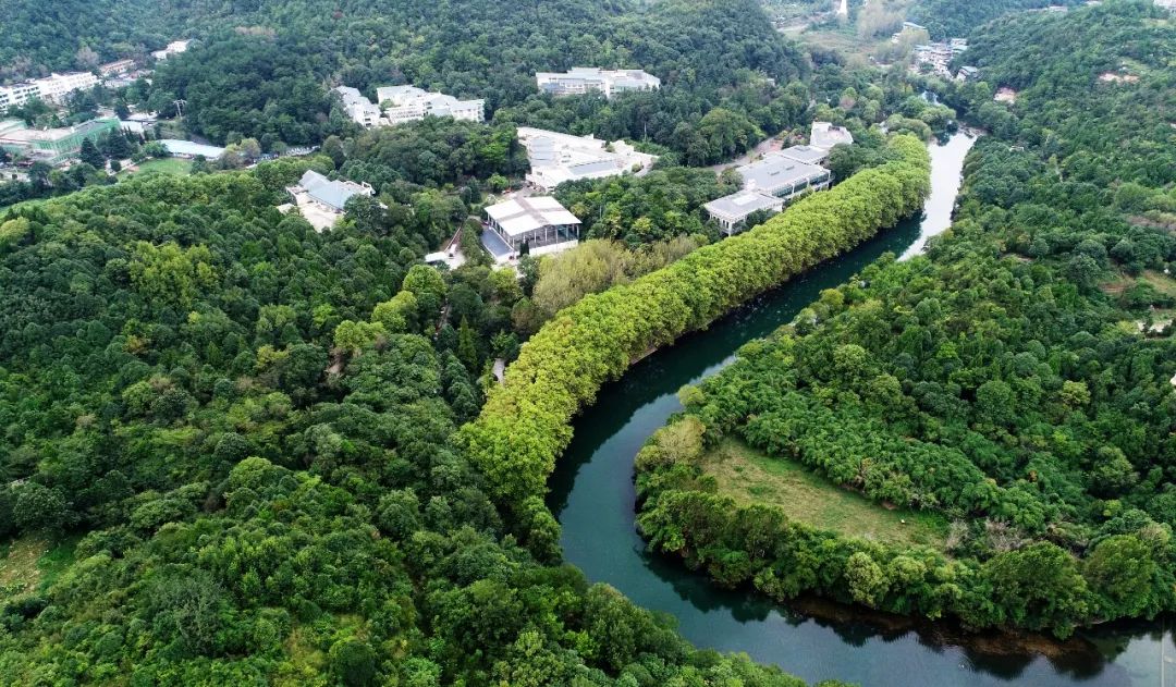 1705934450990030.jpeg 贵阳55.jpeg