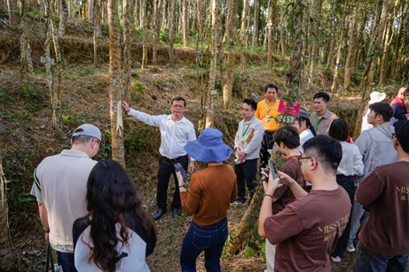 image.png?x-oss-process=style/w10