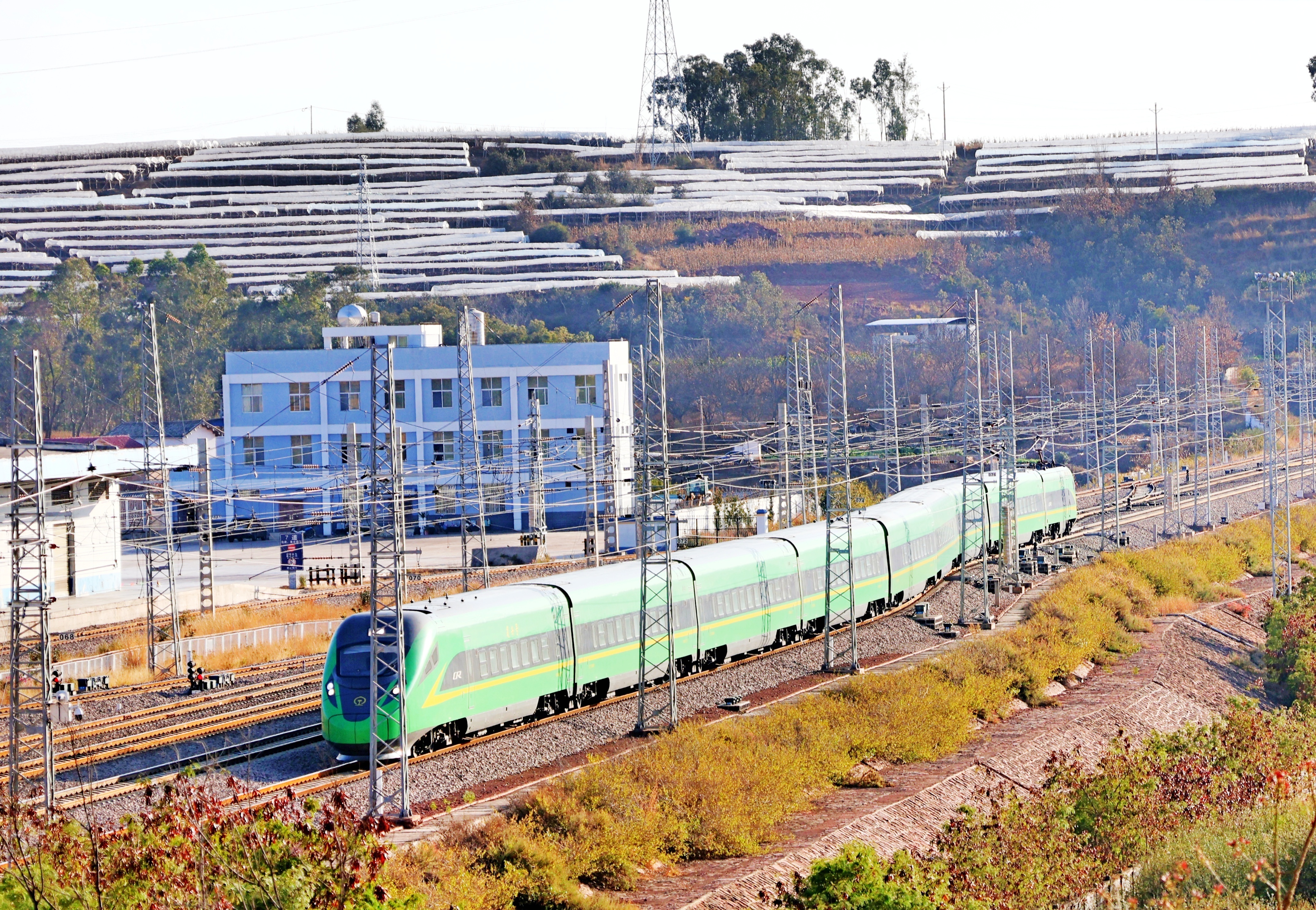 1707700035475088.jpg 7303b274e51a53dfb54902e6f357a1fa_.jpg