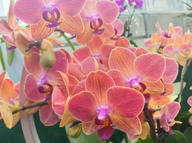 1707904731740583.png image.png