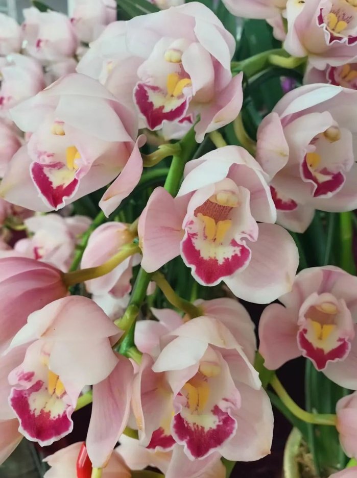 1707904760784359.png image.png