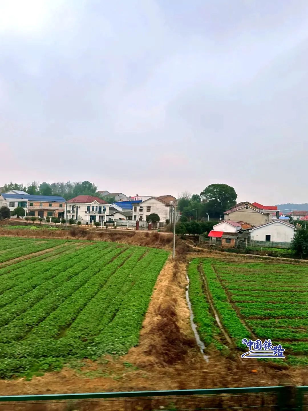 1708398772183250.jpeg 640-162.jpeg