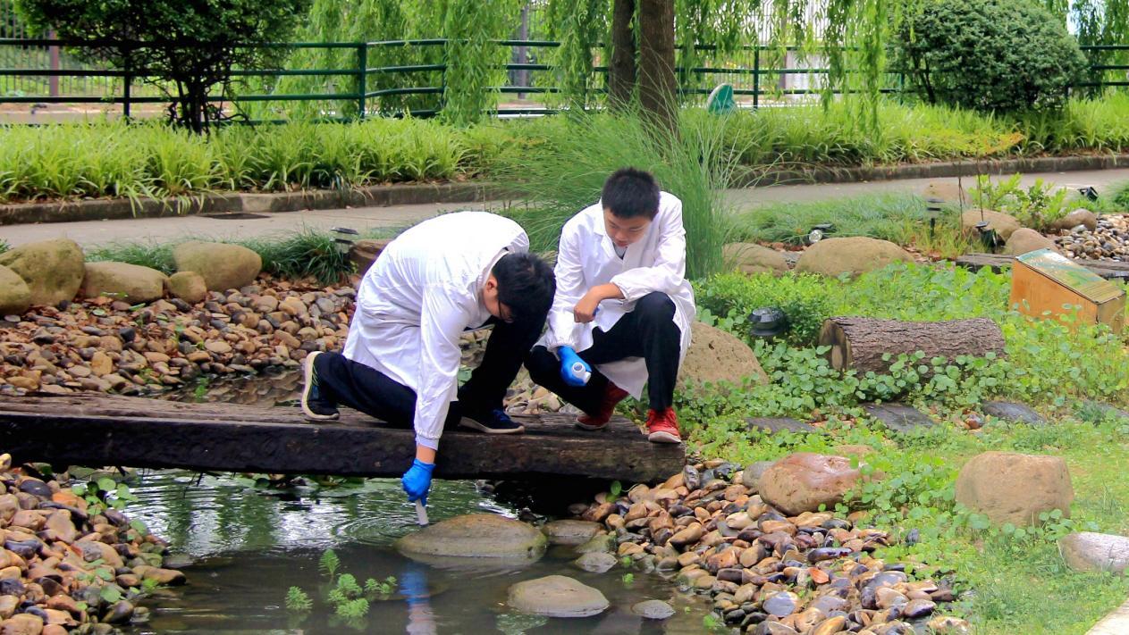 曹杨中学同学在校内人工湿地进行科学研究.jpg?x-oss-process=style/w10