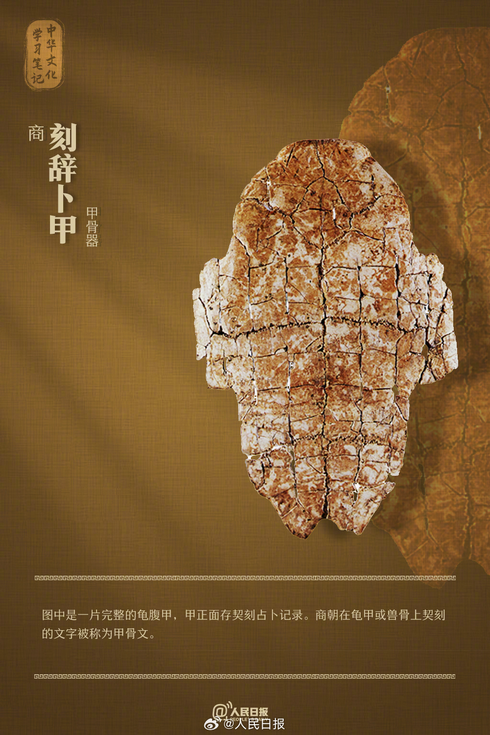 1708997797729900.jpg 0033ImPzly1hn7ot65o8cj60rs15oqjn02.jpg