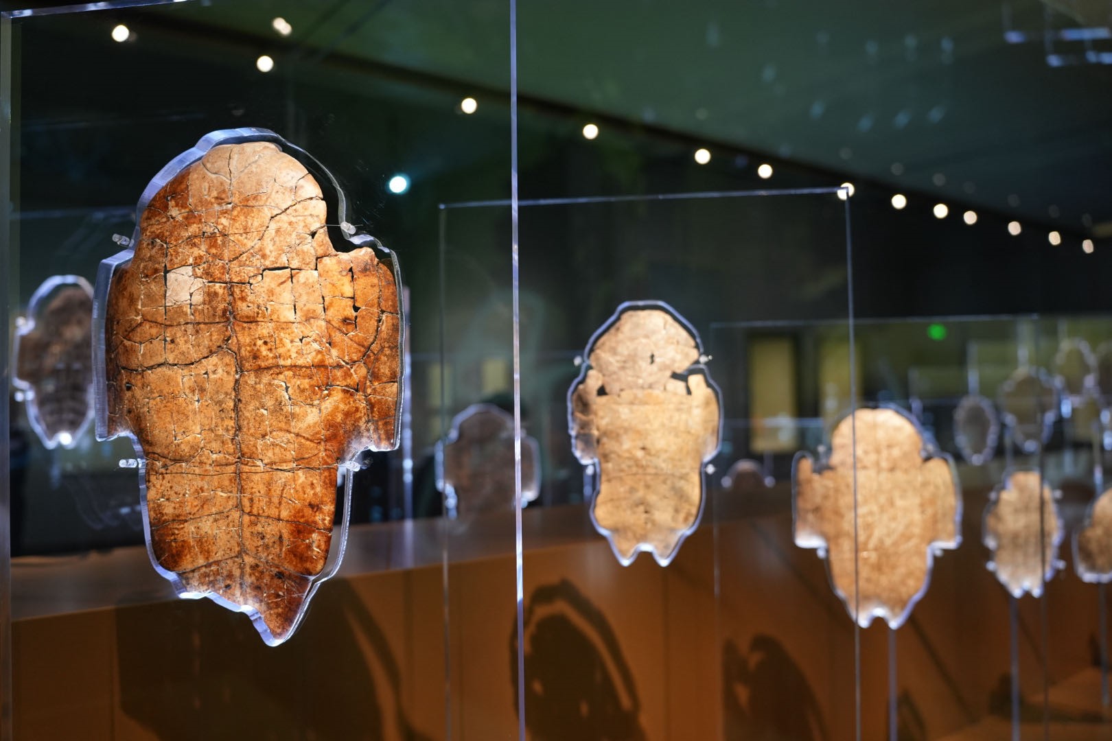 1709174958330361.jpg 1.jpg